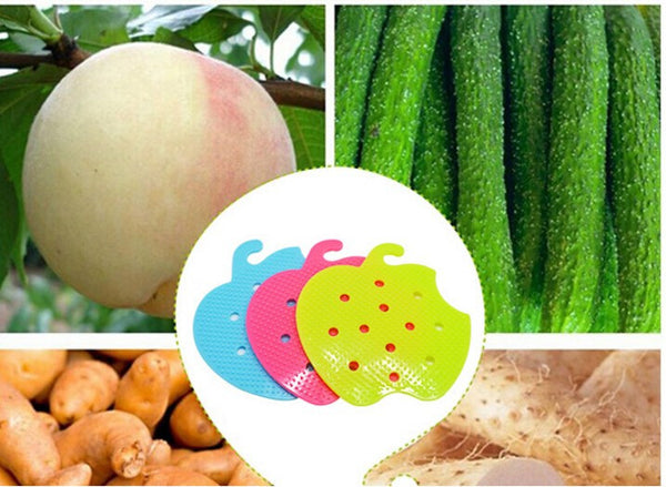 Multi-function Vegetable & Fruit Brush Potato Easy Cleaning Tools Kitchen Home Gadgets
